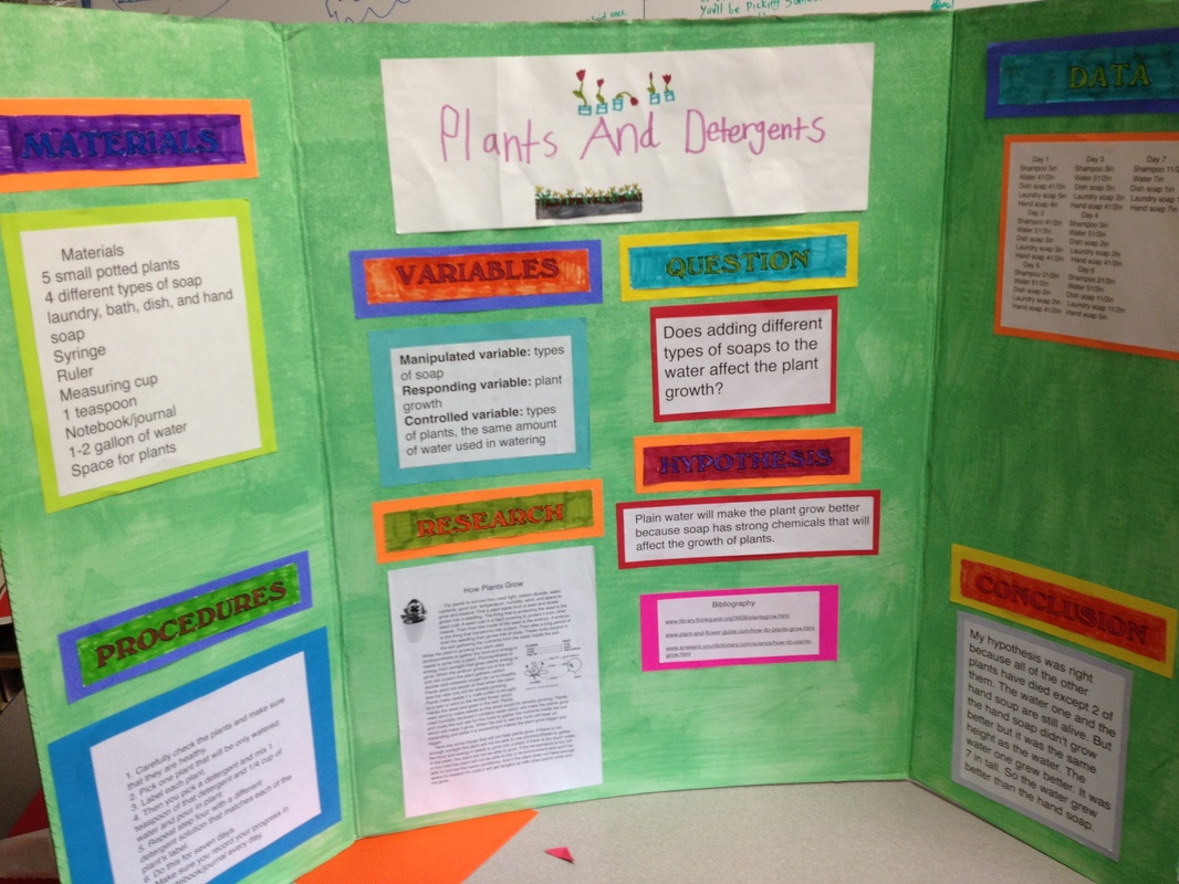 Brittany Science Fair